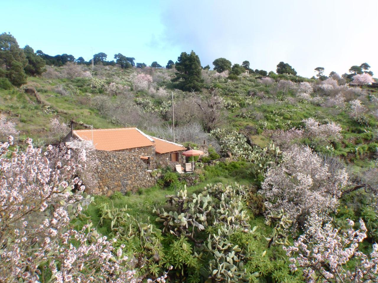 Casa rural La Jarita El Pinar  Bagian luar foto